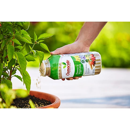 Osmocote Flower & Vegetable Plant Food-2lb