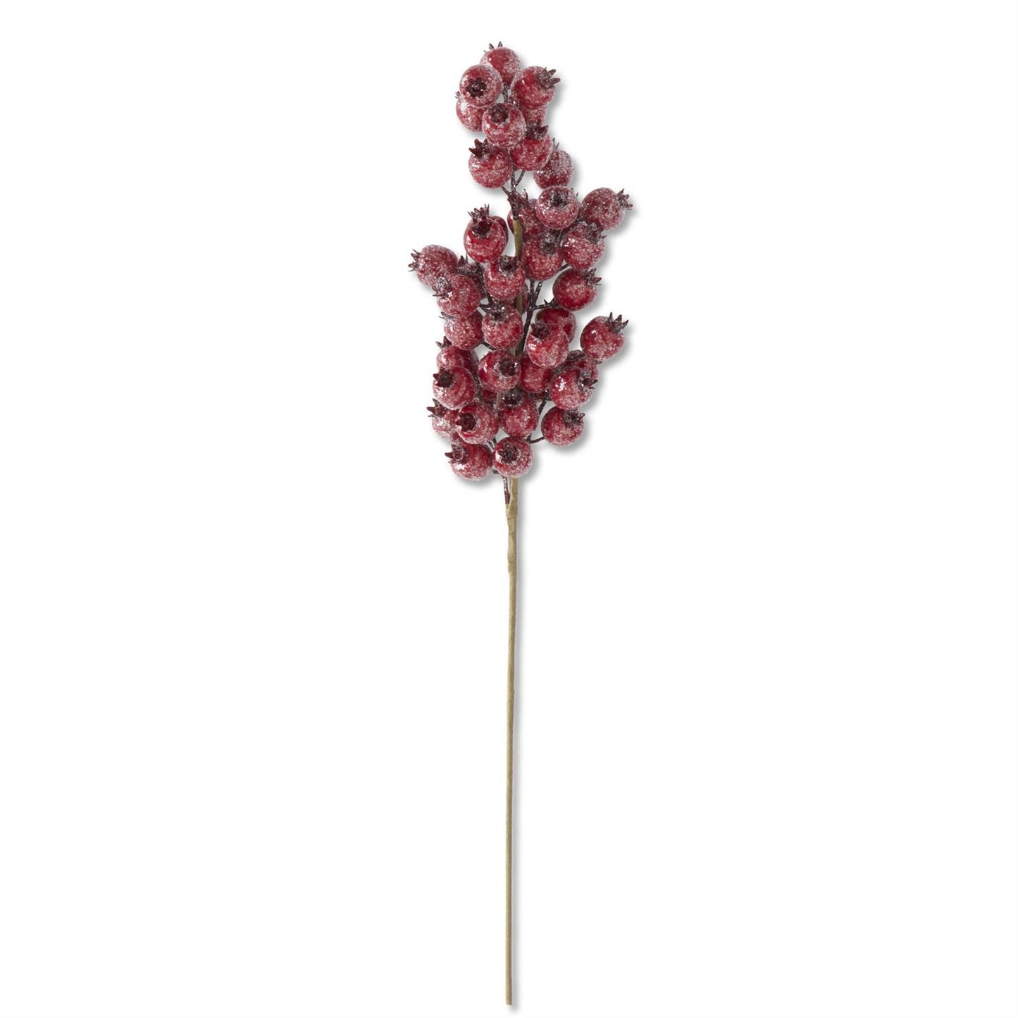 24" Glittered Red Rosehip Stem