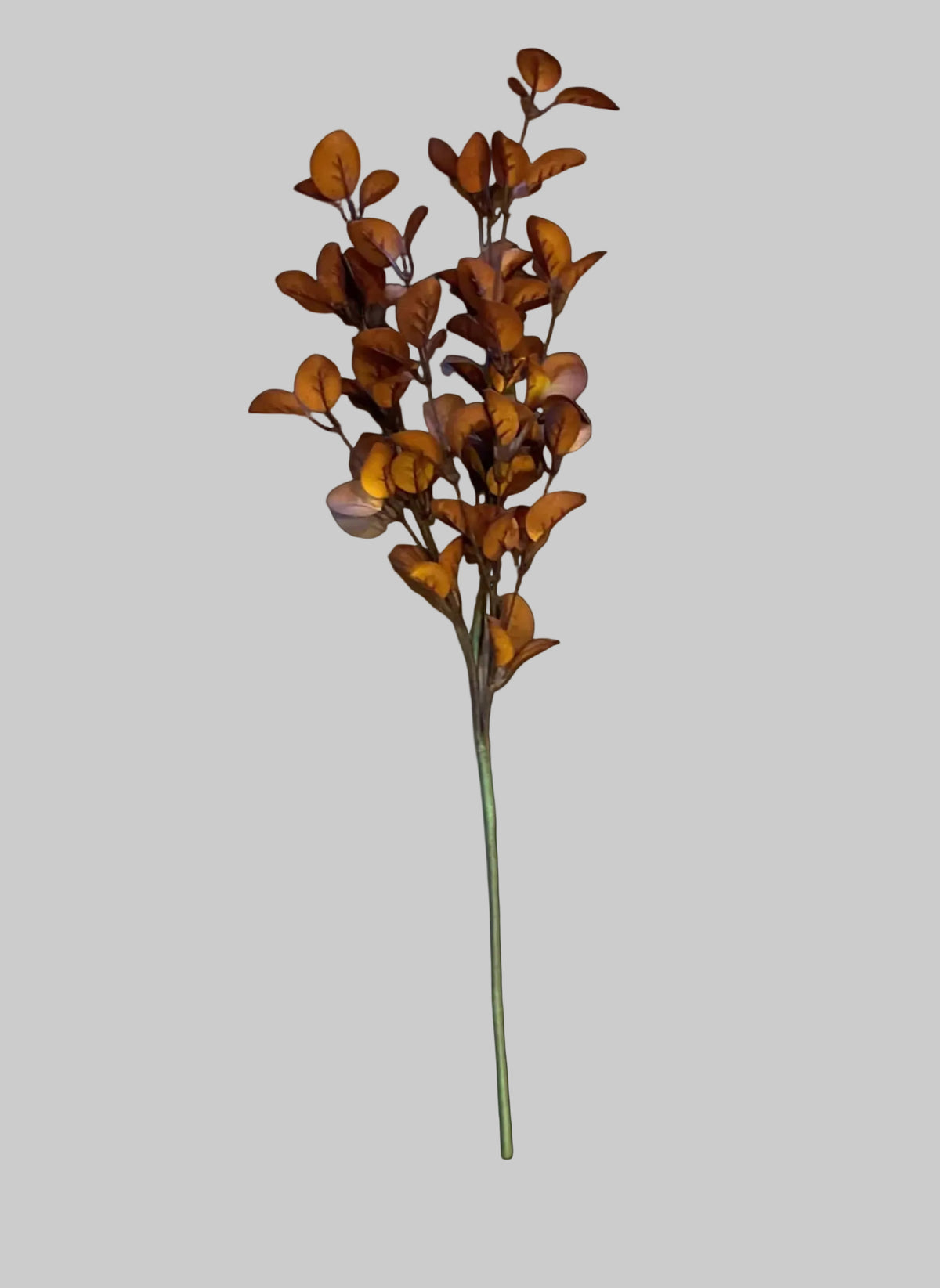 29"L EVA ROSE LEAF SPRAY