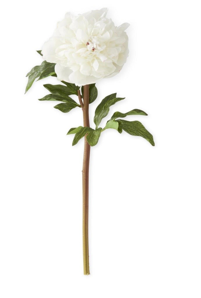 21.5" White Charm Real Touch Peony Stem