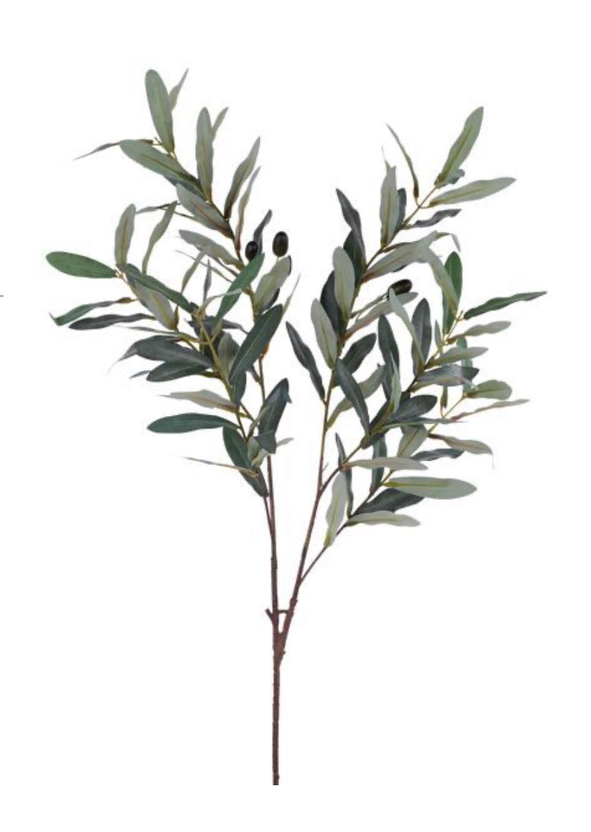 40” Dusted Olive Tree Branch