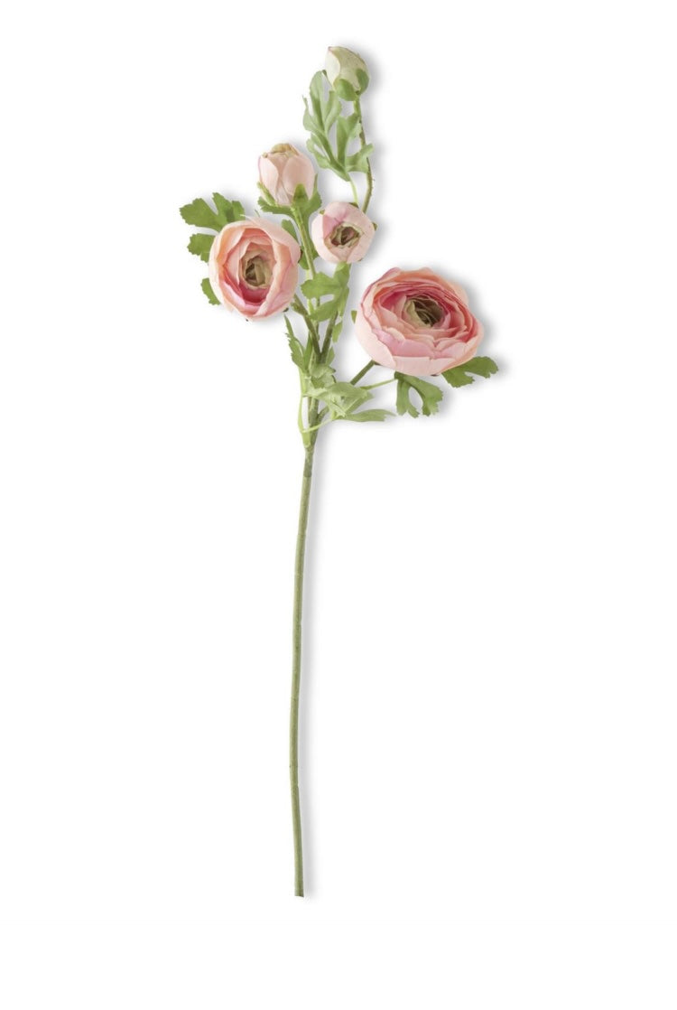 24.5 Inch Pink Real Touch 5 Head Ranunculus Stem