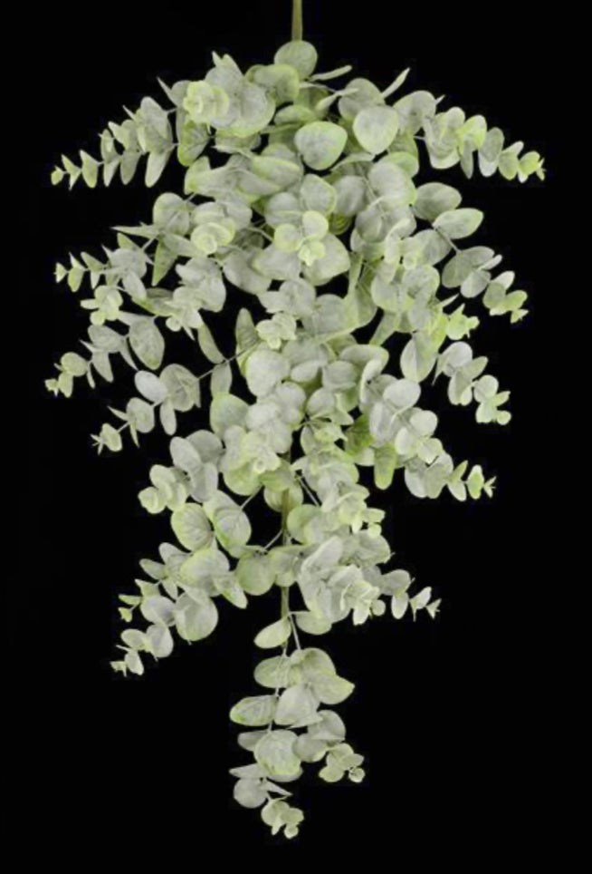 32”Spiral Eucalyptus Teardrop