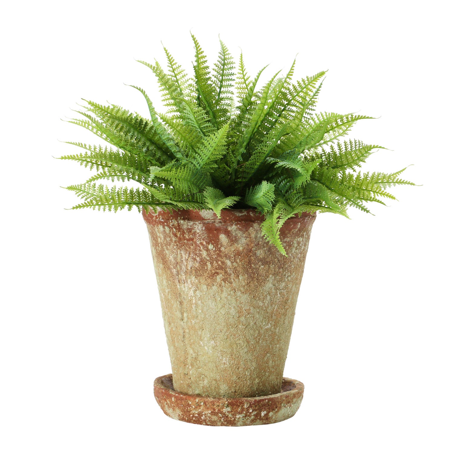 distressed planter pot Distressed Cement Planter with Saucer-Small – Cypress Home & Garden