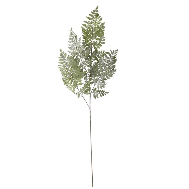 36 Inch Real Touch Royal Fern Stem