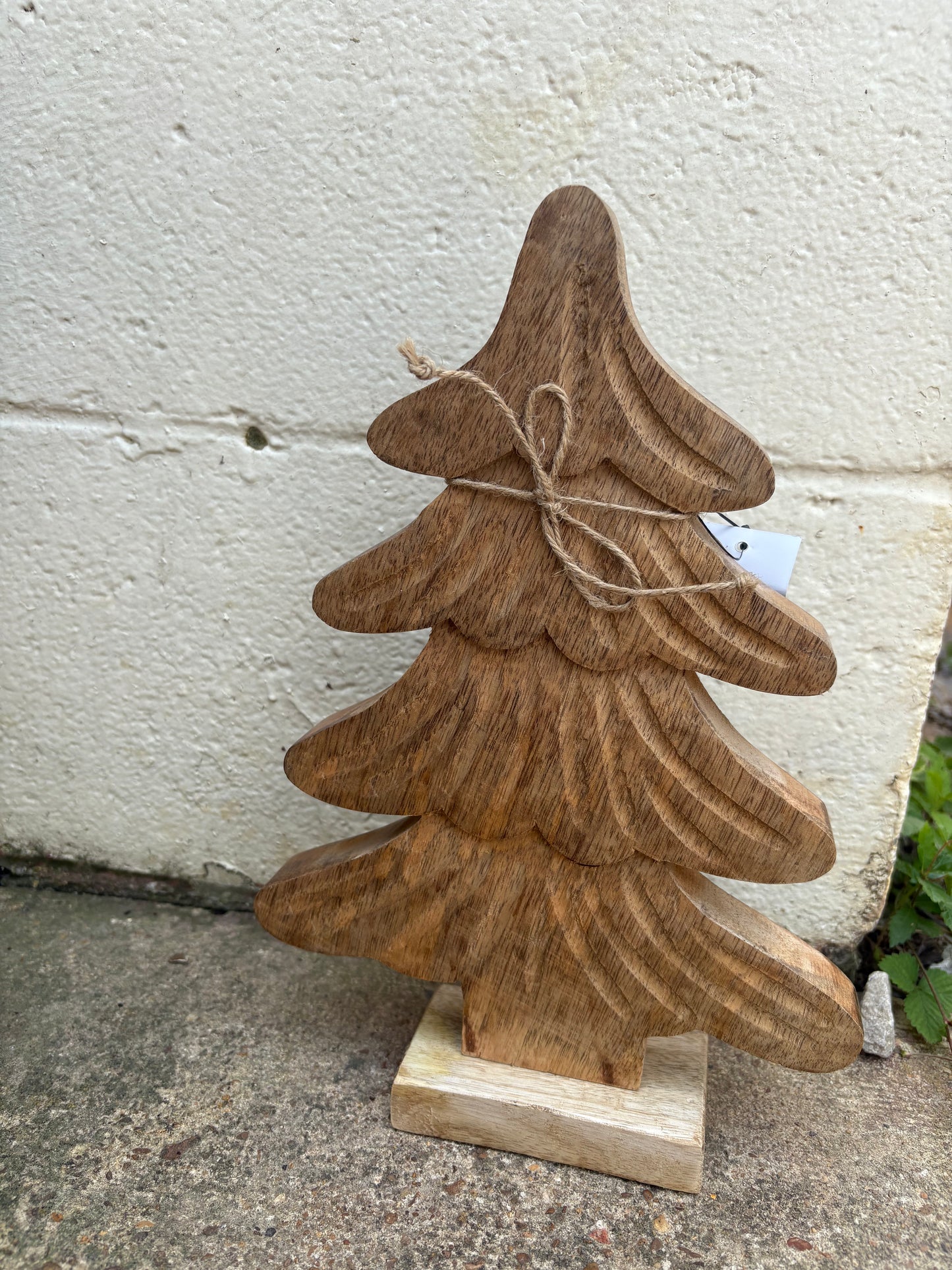 Mangowood Tree on Base
