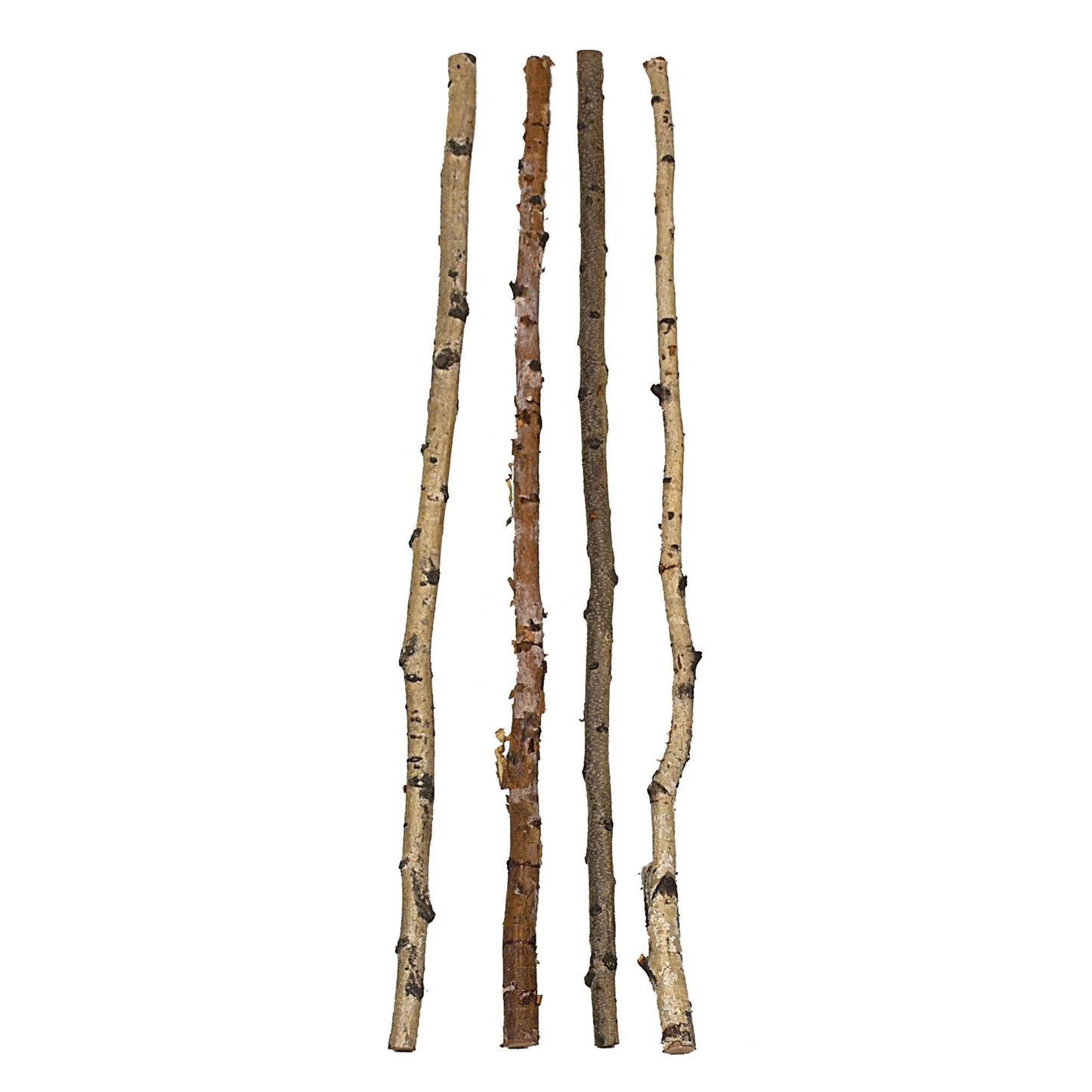 Birch Branch Bundles