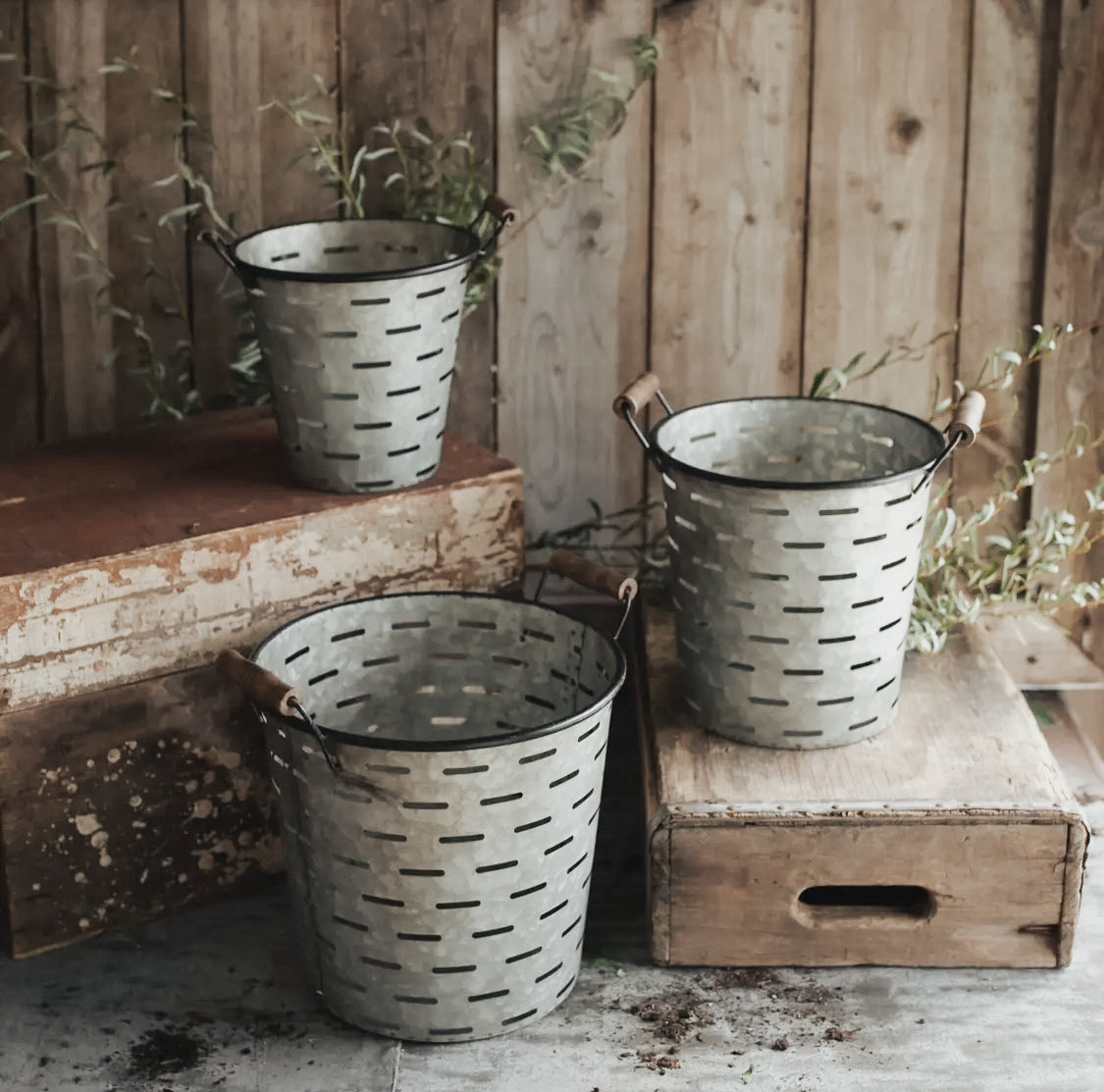 Galvanized Metal Olive Buckets order