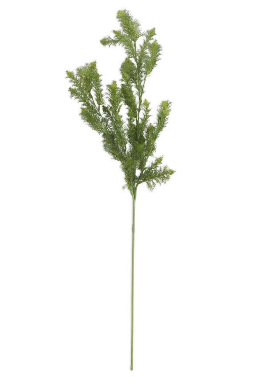 36" Dill Spray