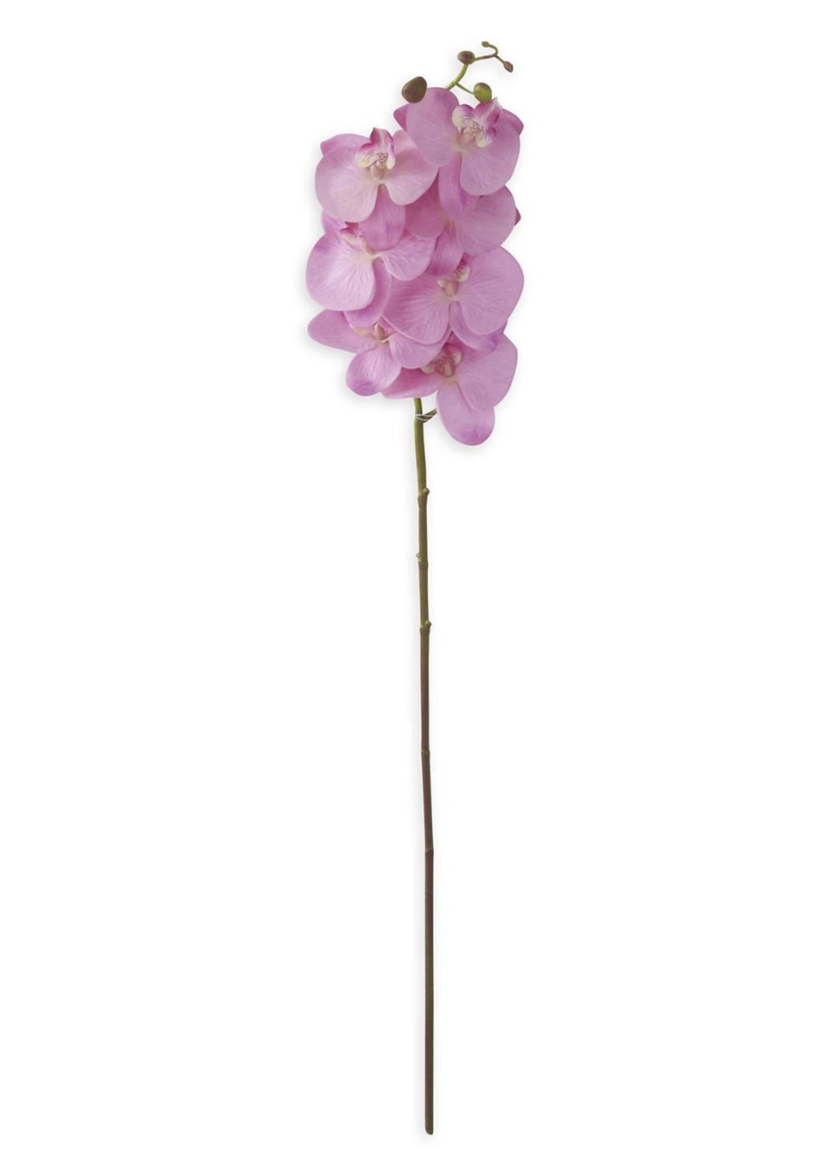 34.5" Purple Orchid Stems