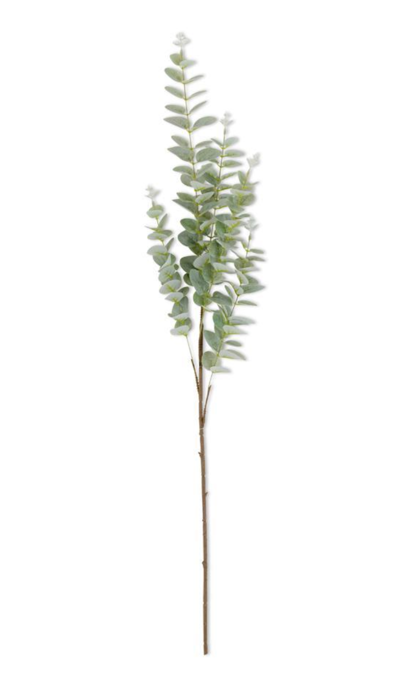 38" Green Eucalyptus Stem