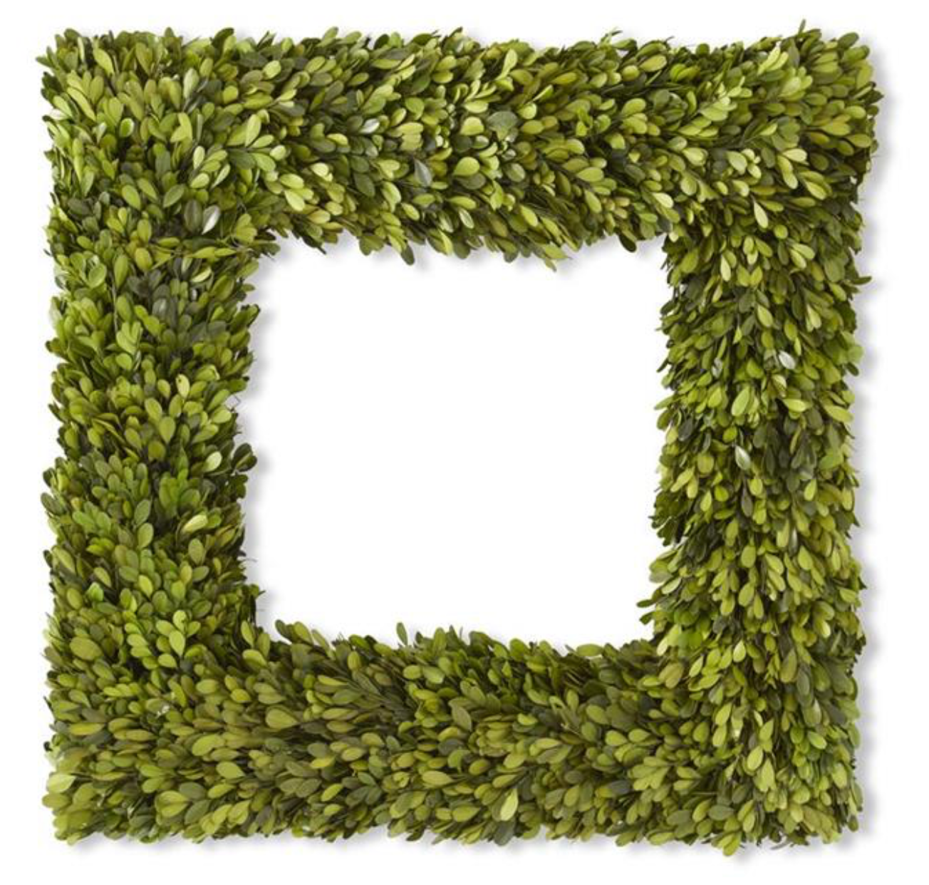 24 Inch Square Preserved Natural Boxwood Wreath