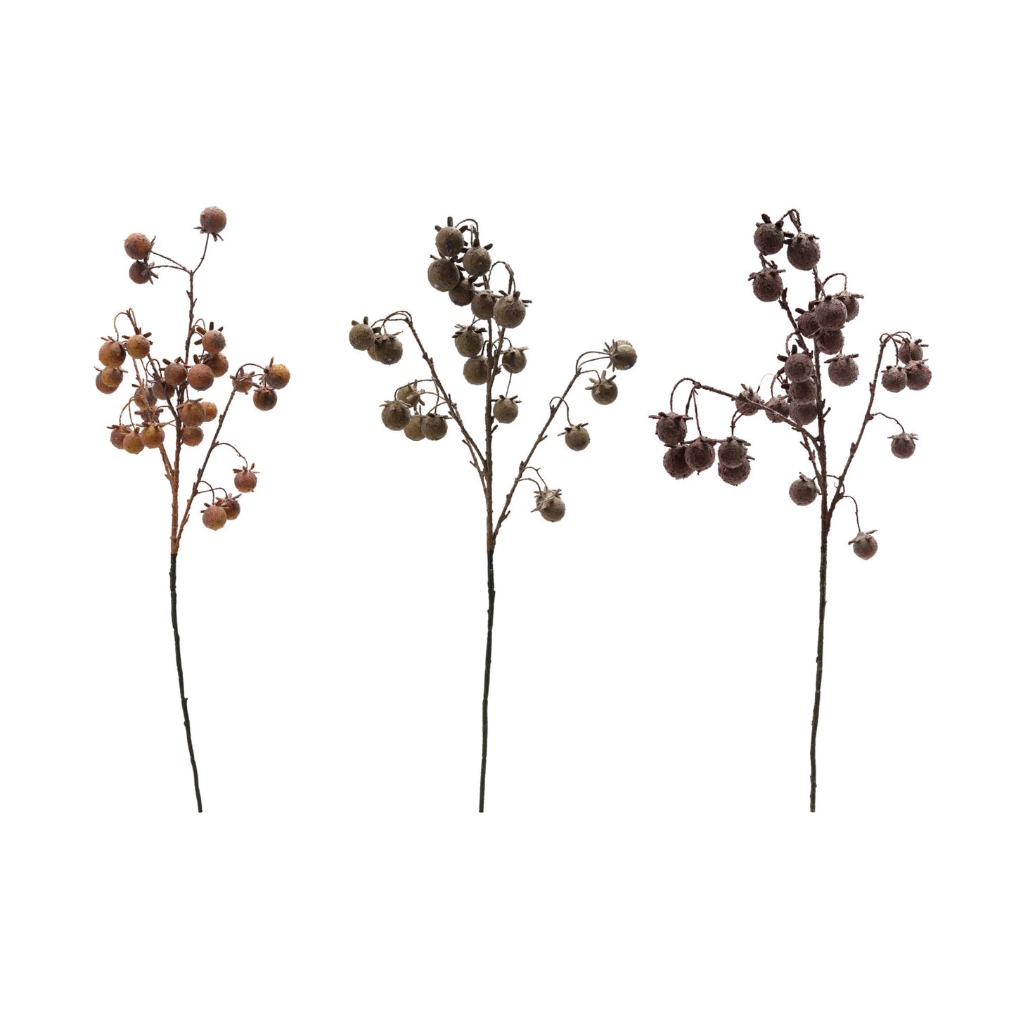 37.5" Rose Hip Stem