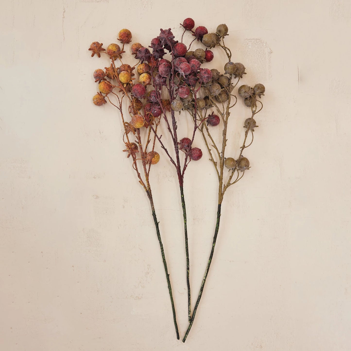 37.5" Rose Hip Stem
