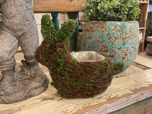 Angelvine and Moss Rabbit Planter