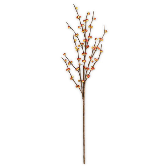 31" Bittersweet Stem