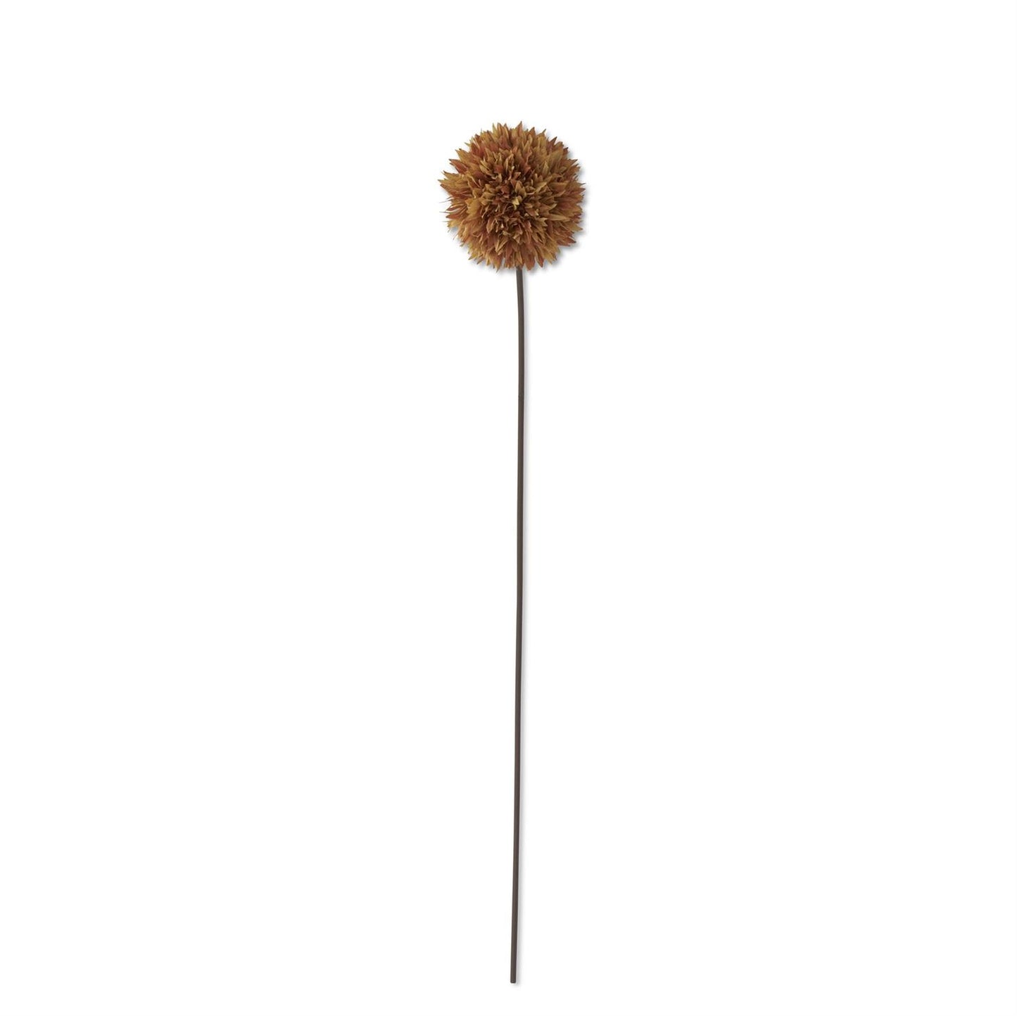 26" Brown Allium Stem