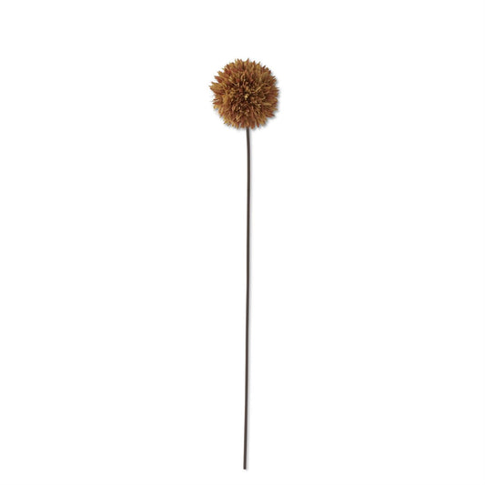 26" Brown Allium Stem