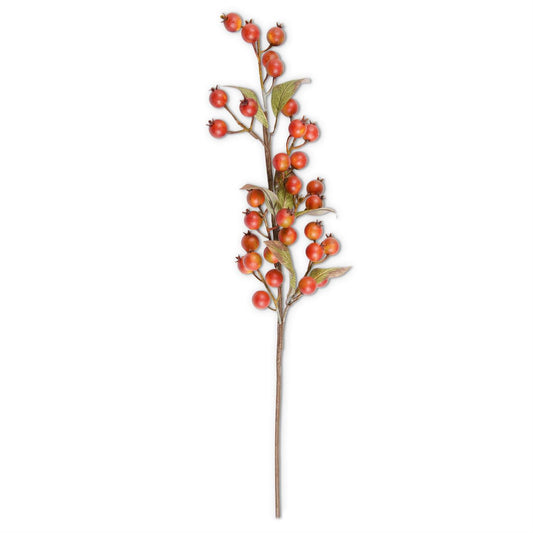 32" Burnt Orange Rosehip Stem
