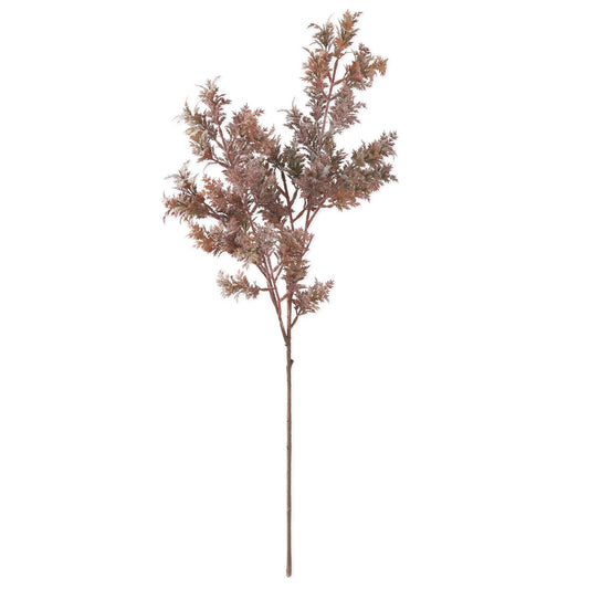 31" Burgundy Cypress Branch