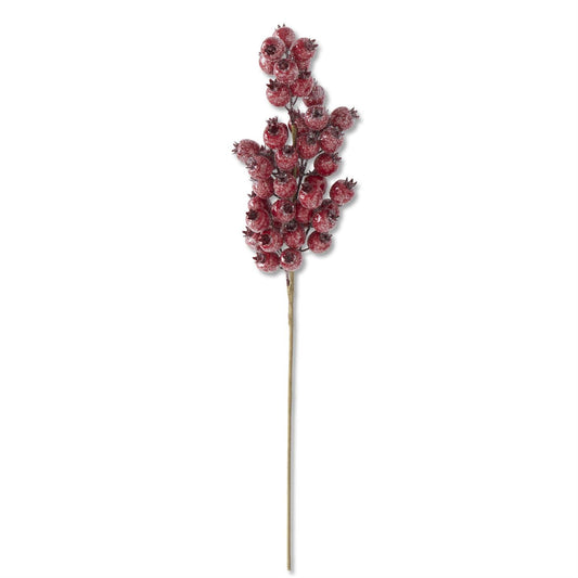 24" Glittered Red Rosehip Stem
