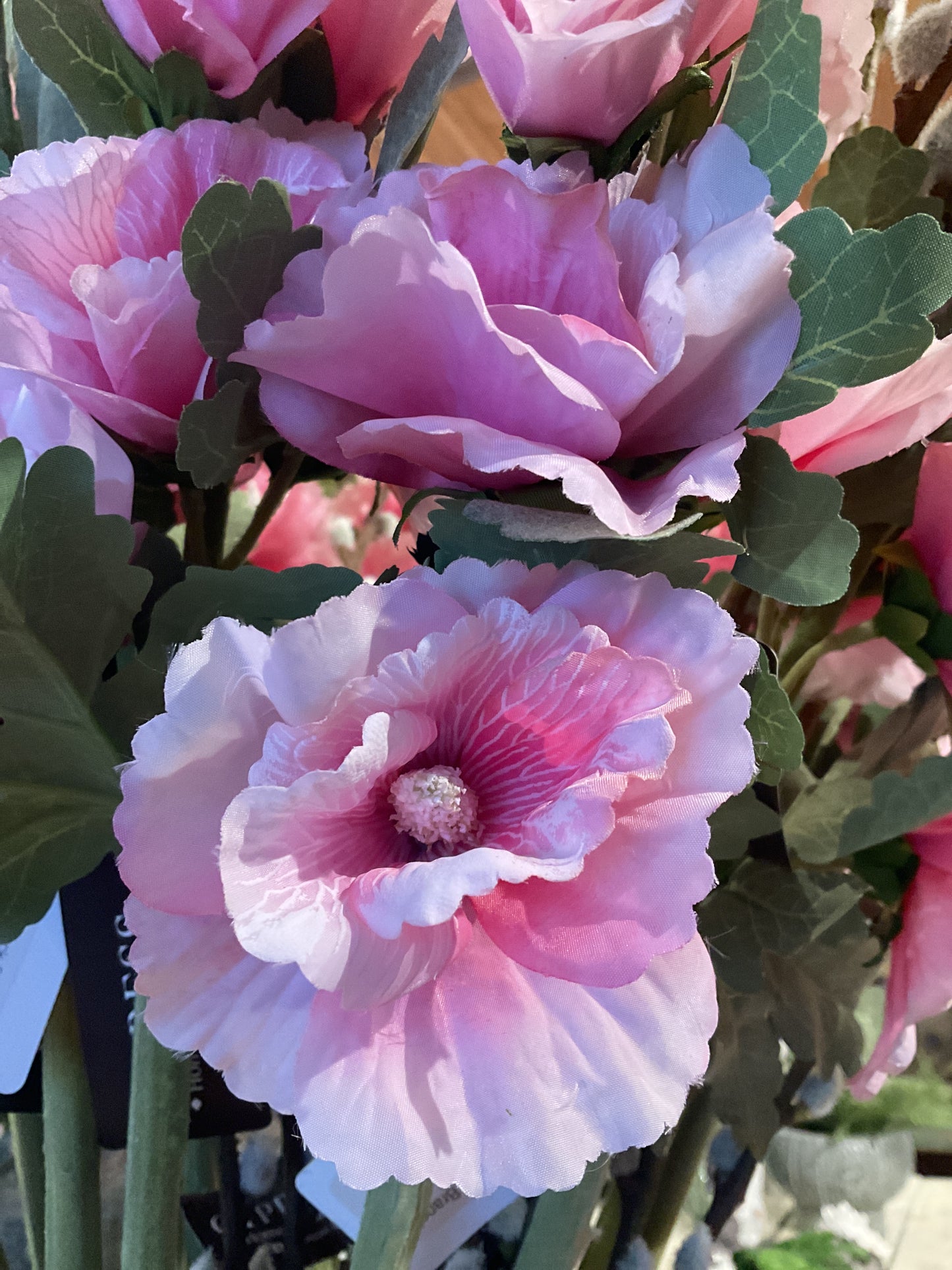 43 Inch Pink Hollyhock Stem