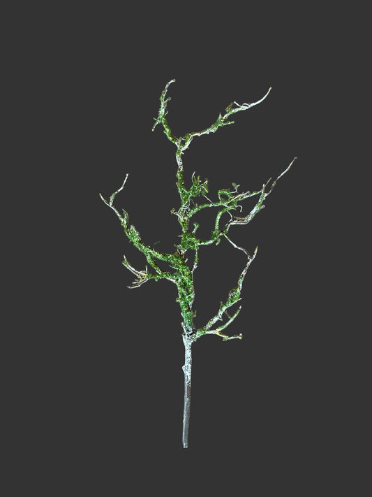 Twig Spray with Moss