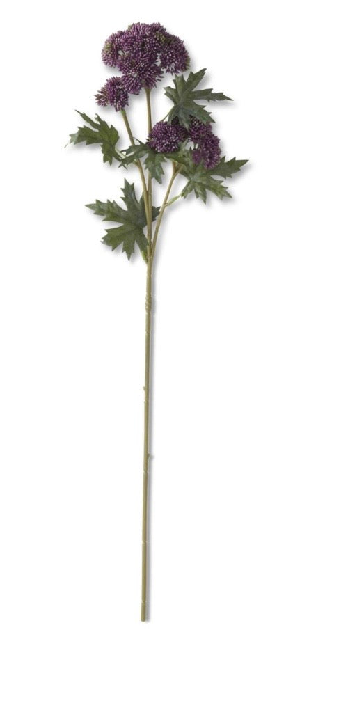 28" Dark Purple Sedum Stem