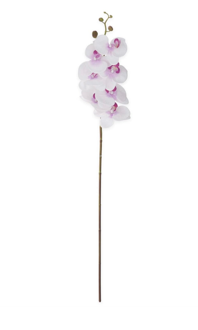34.5" White and Purple Orchid Stem