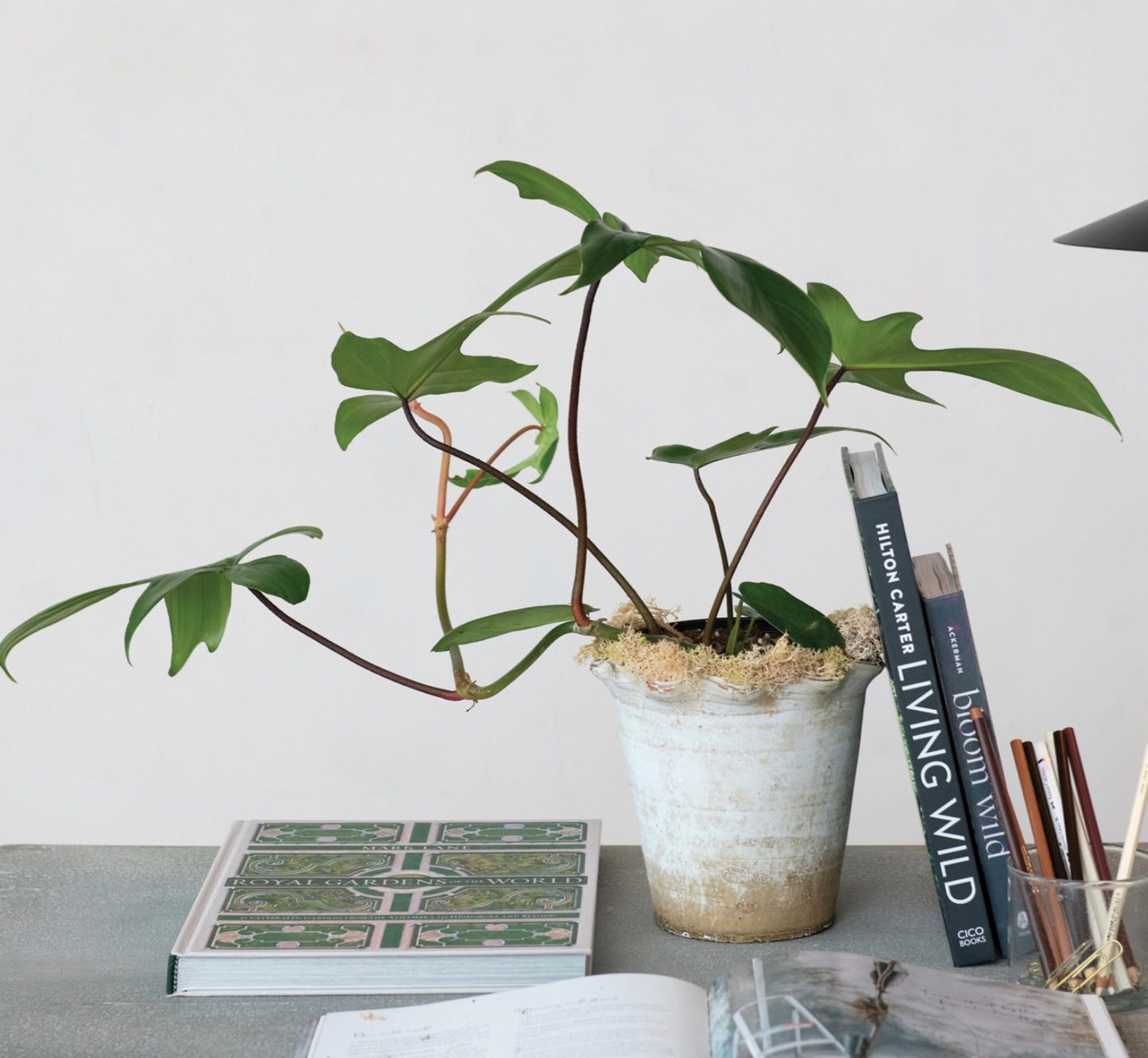 7”Rd x 7”H Terrain  Planter w Ruffled Edge, Natural