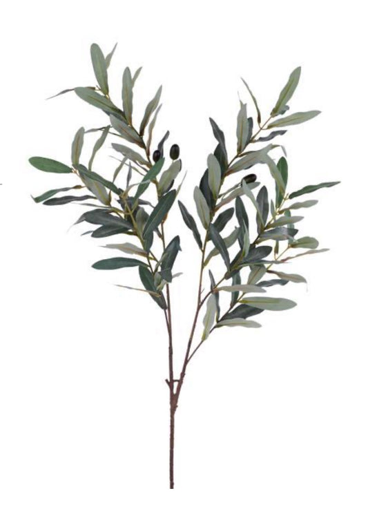 40” Dusted Olive Tree Branch