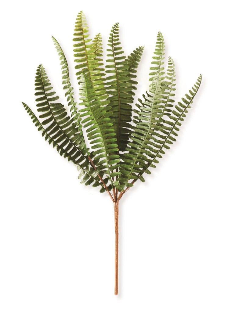 14.5 Inch Fish Bone Fern Stem