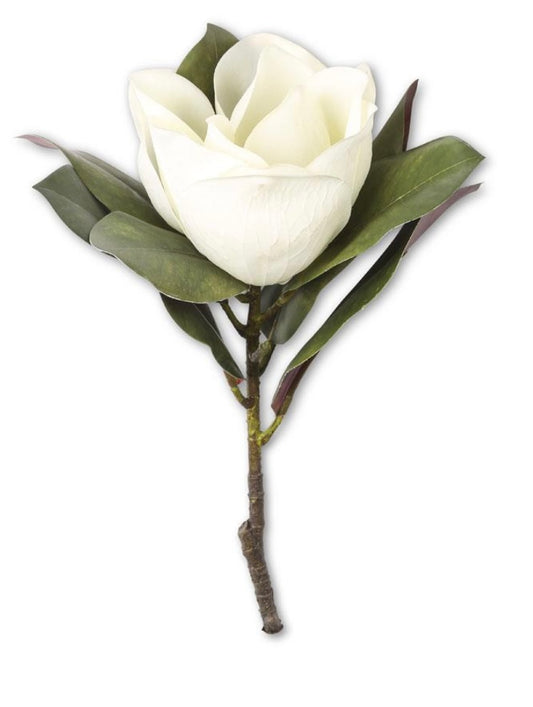 17" White Magnolia Stem