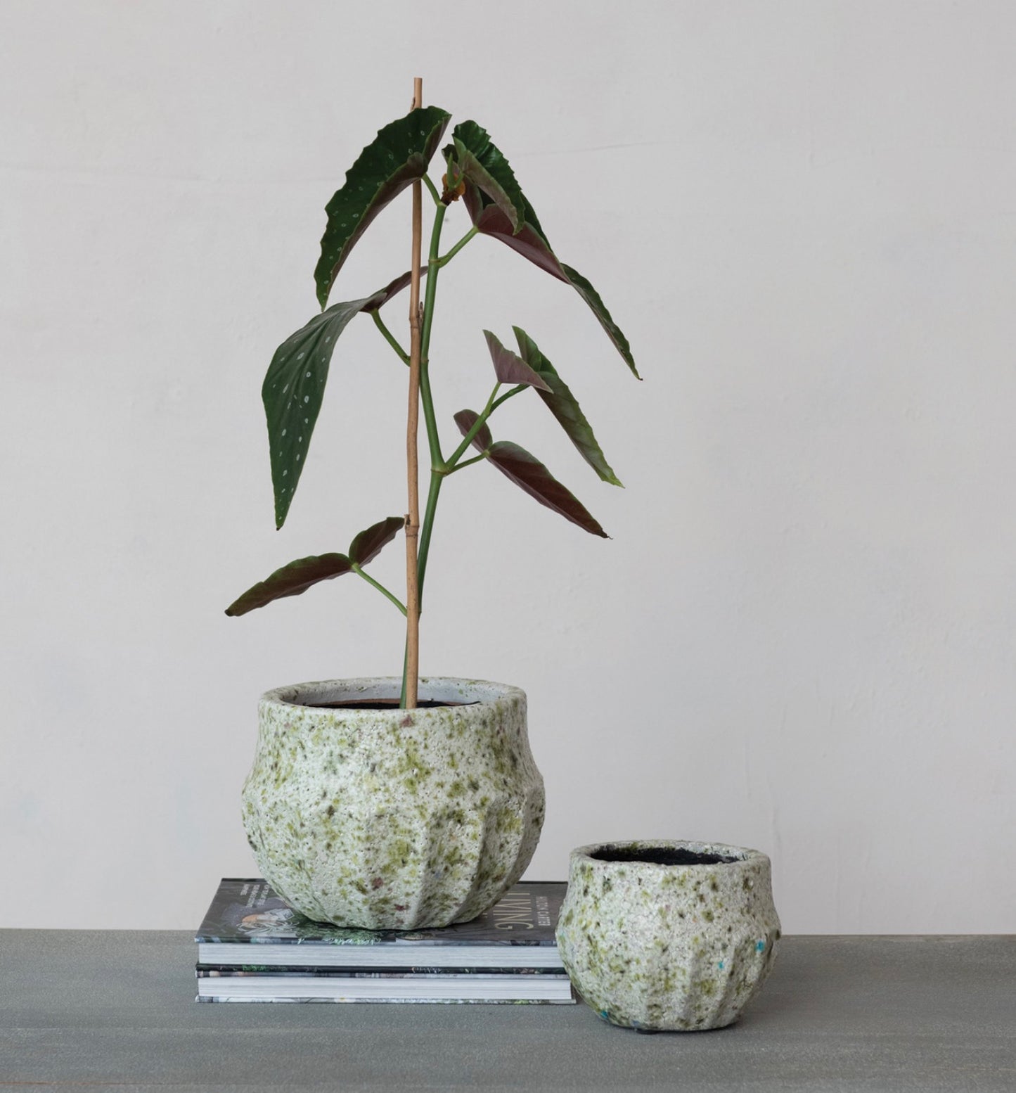 Terra-cotta Planter w Crackle Glaze/Green