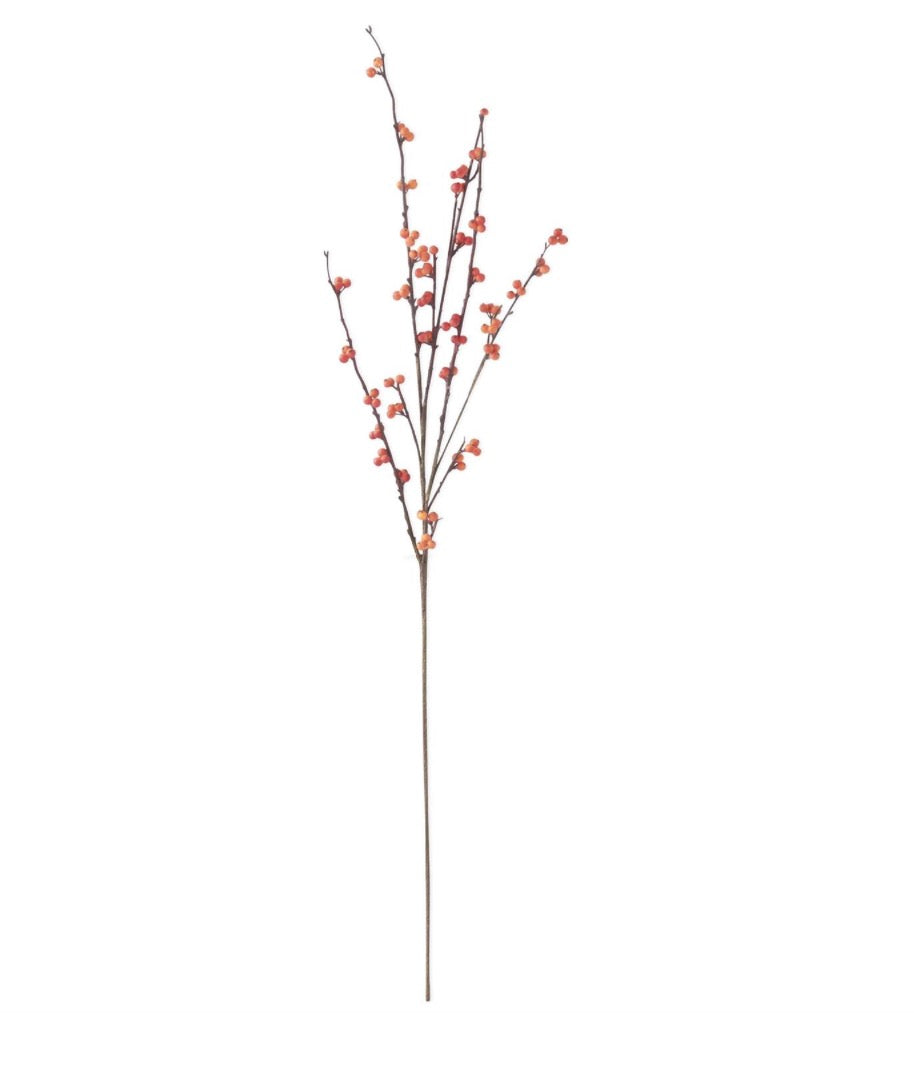 37” Orange Berry Stem