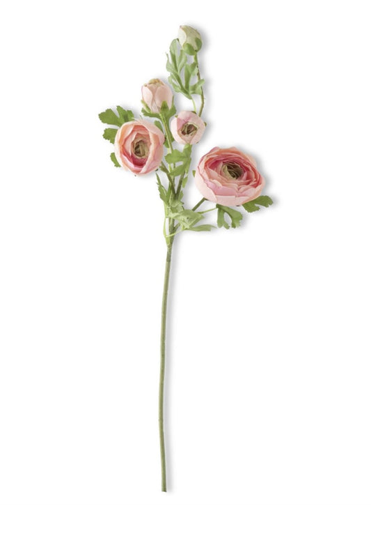 24.5 Inch Pink Real Touch 5 Head Ranunculus Stem