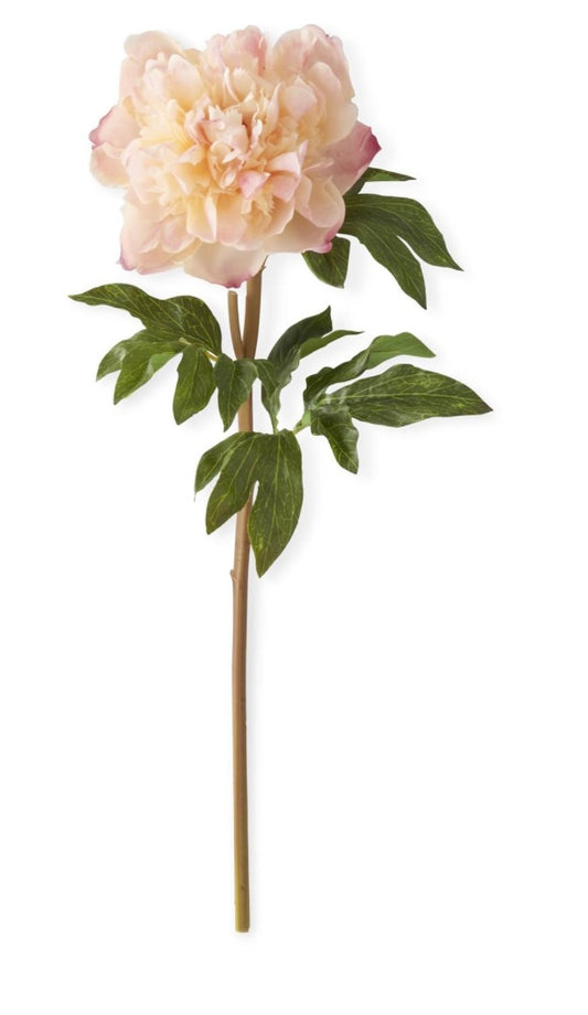 21.5" Coral Charm Real Touch Peony Stem