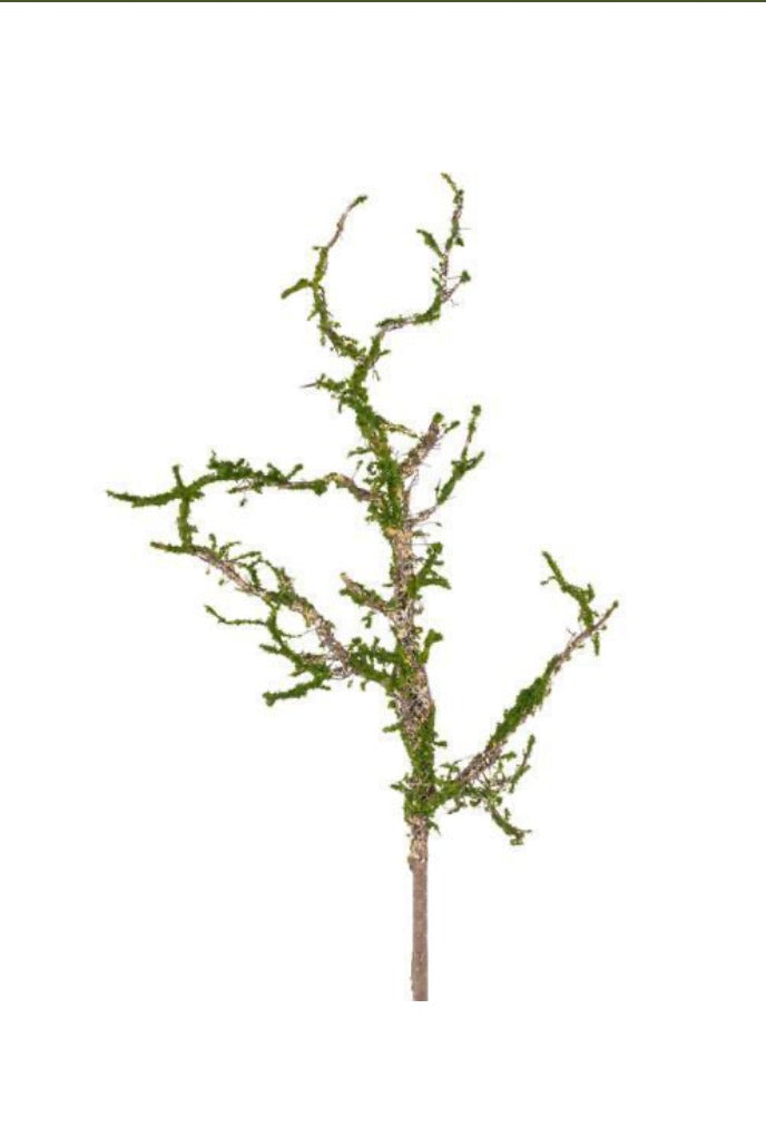 Twig Spray with Moss