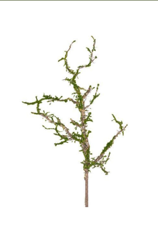 Twig Spray with Moss