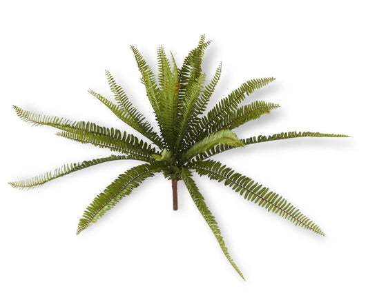 26 Inch Mixed Fern Bush