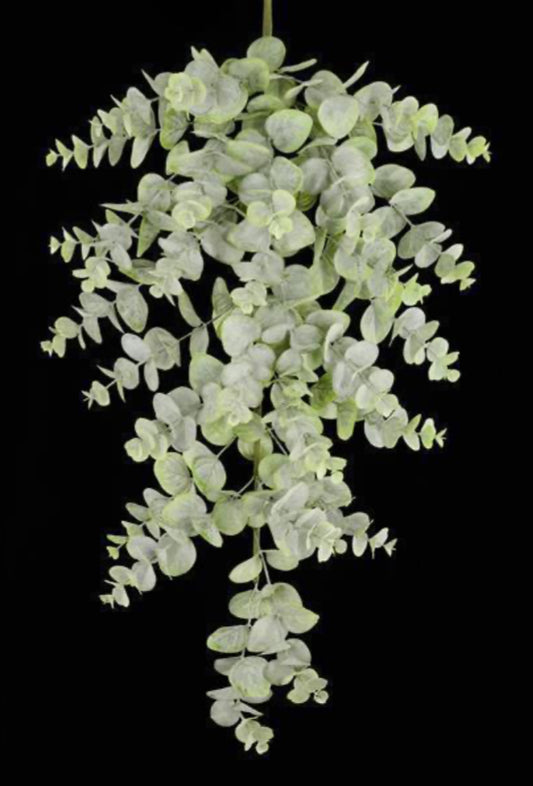 32”Spiral Eucalyptus Teardrop