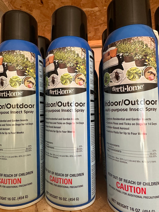 Indoor/Outdoor Insect Spray