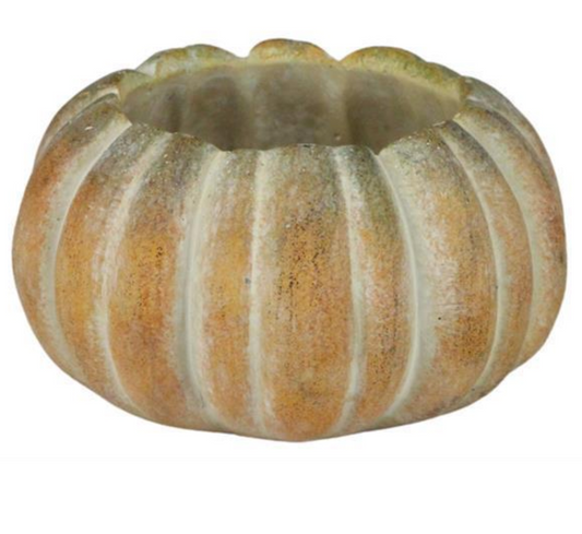 6" Cement Pumpkin Vase