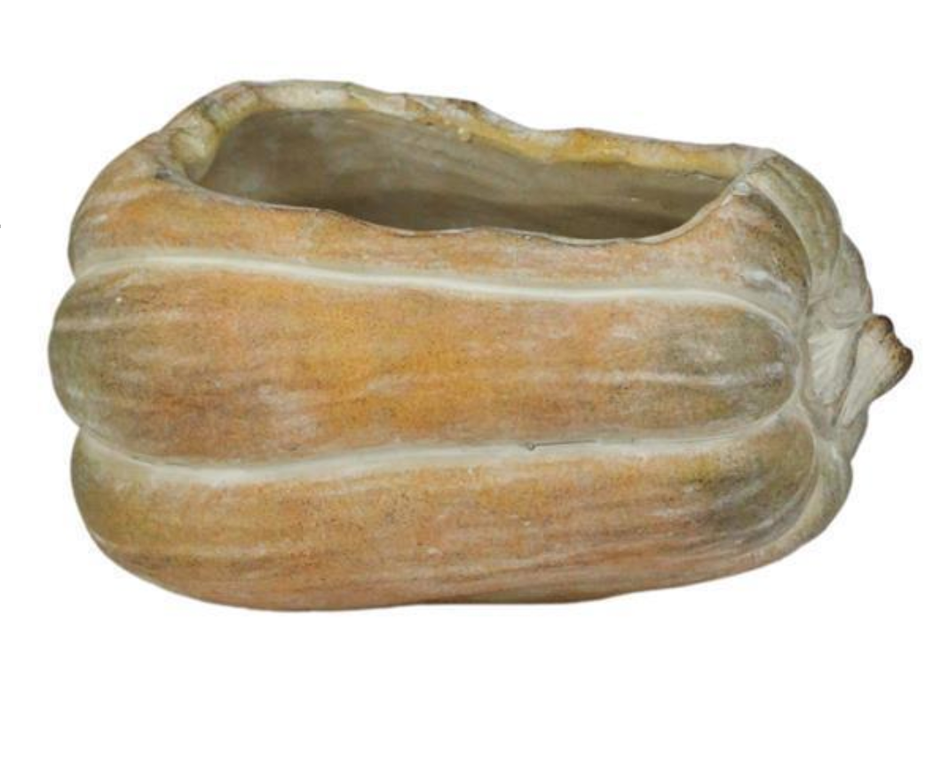 4.5" Cement Pumpkin Vase