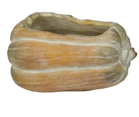 4.5" Cement Pumpkin Vase