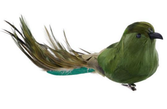 Green Bird Clip with Long Tail
