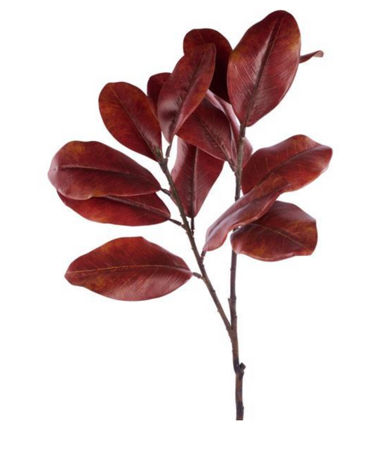 40" Brown Magnolia Spray