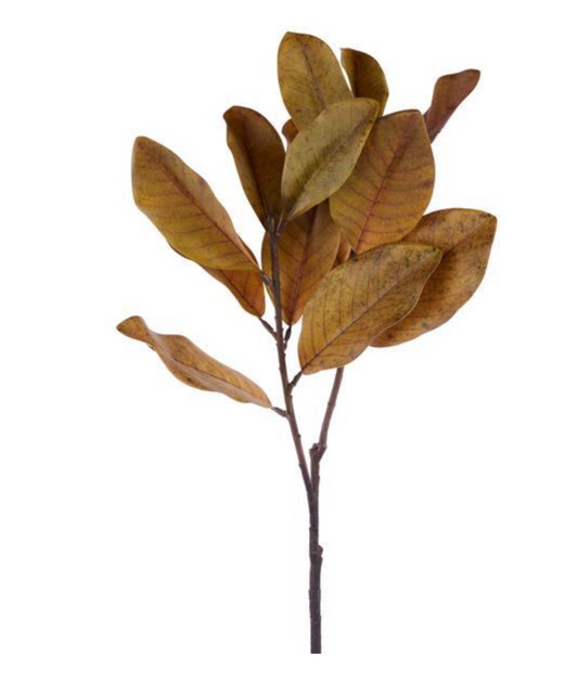 40" Rust Magnolia Spray