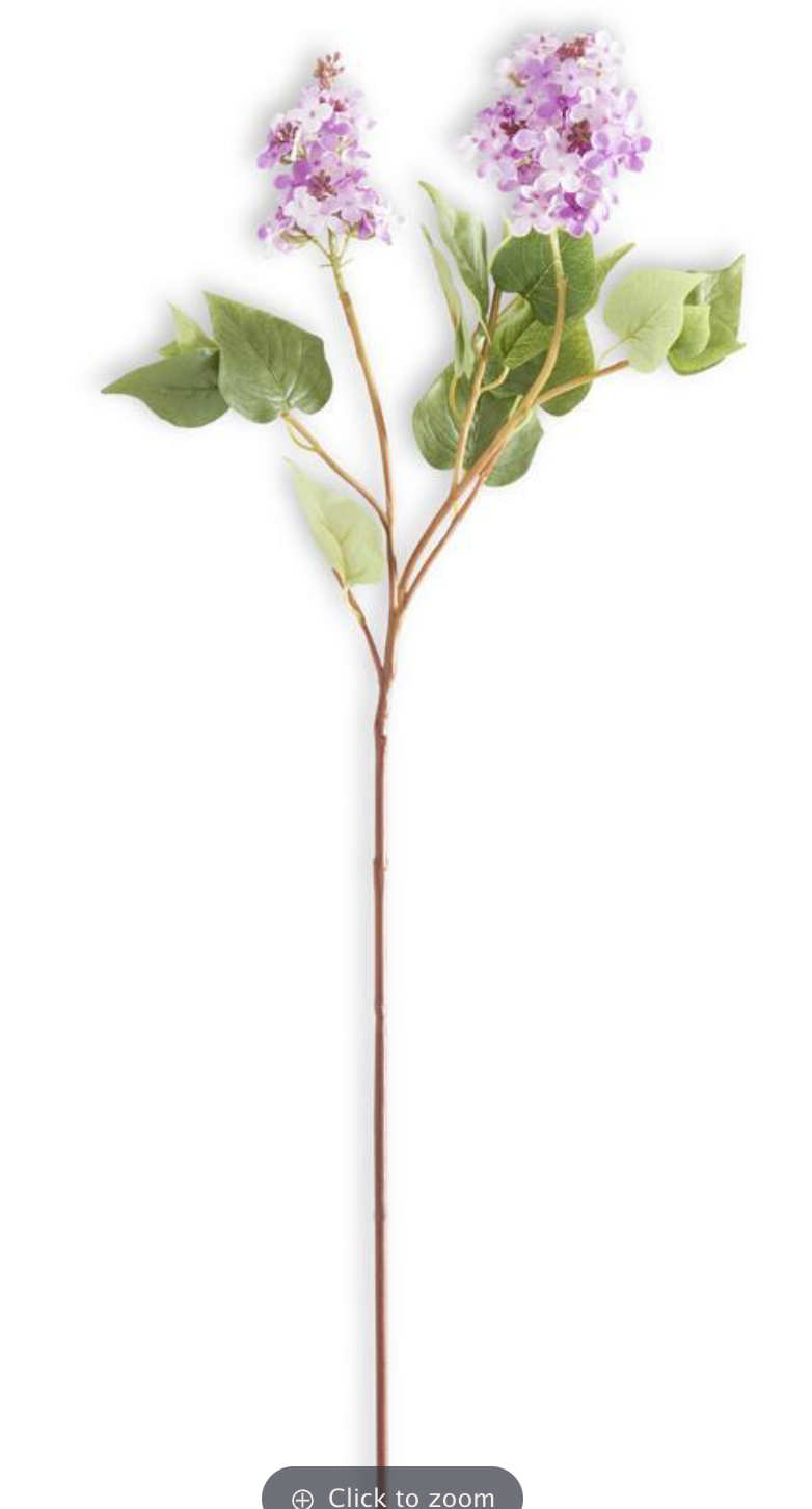 24 Inch Purple Budded Lilac Stem