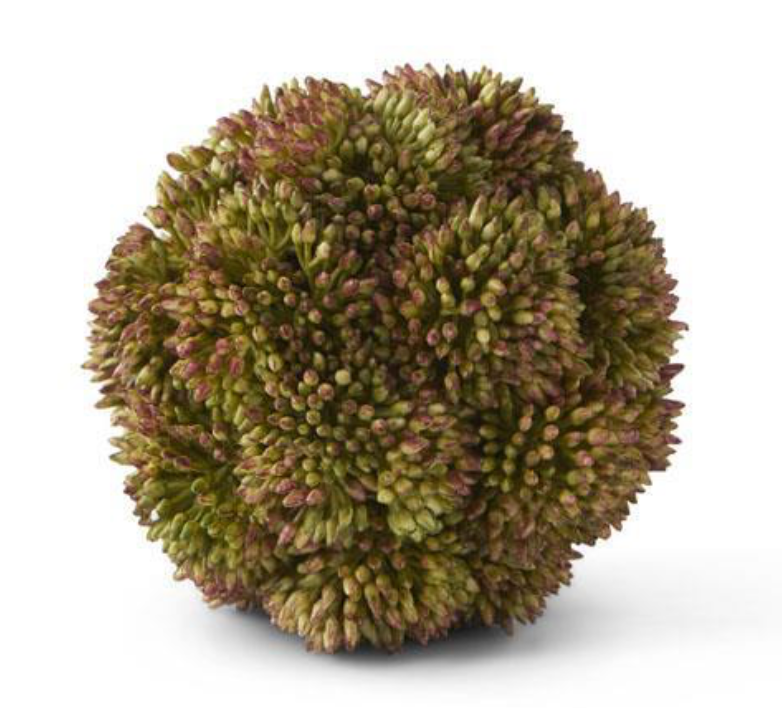 4 inch Dark Green Sedum Ball